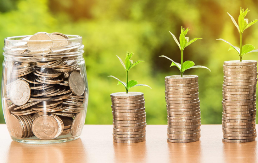 Wealth Management Services
